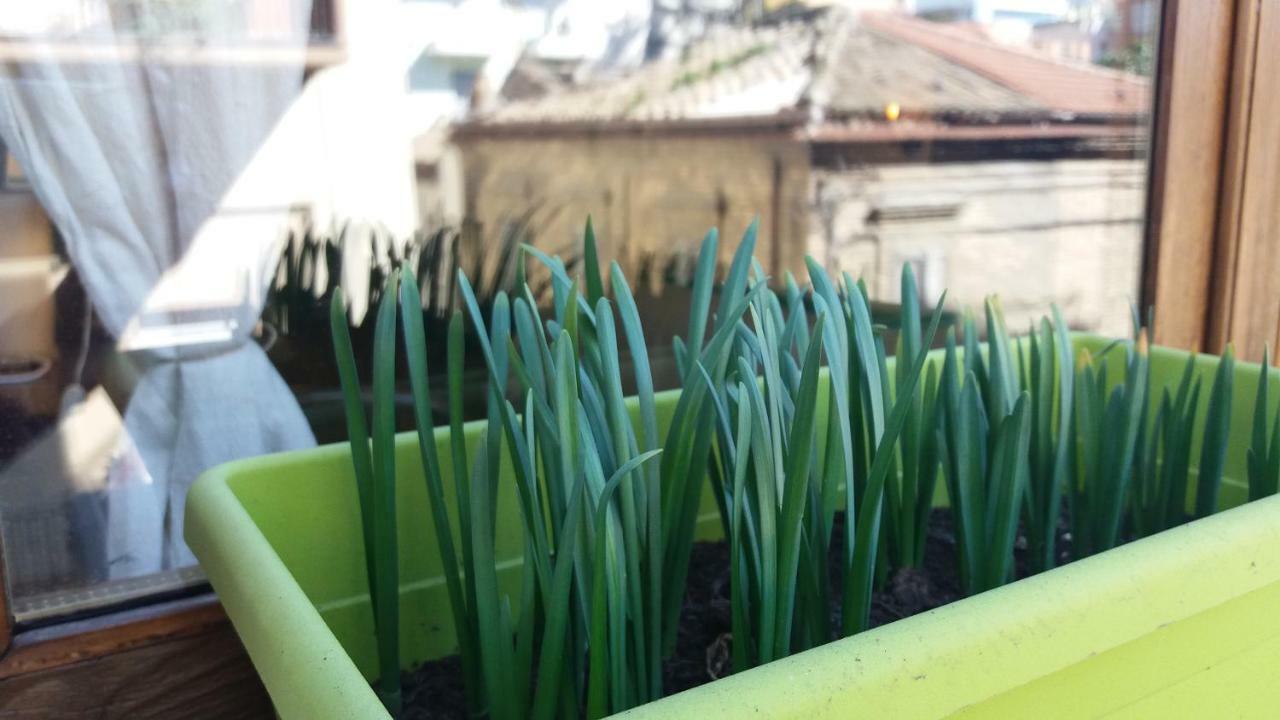 Le Stanze Di Bruno Acomodação com café da manhã Pescara Exterior foto